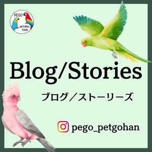 「〇〇インコに△△ニンジンを与えると死にます。」の画像