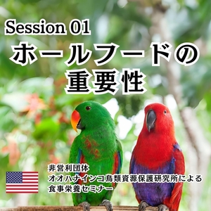 「Session 01：ホールフードを飼い鳥に与える重要性と食事・栄養について」の画像
