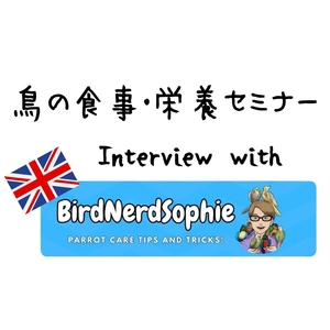 「BirdNerdSophie 鳥の食事・栄養　インタビュー動画」の画像