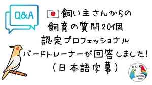 「Q&Aを3つご紹介」の画像