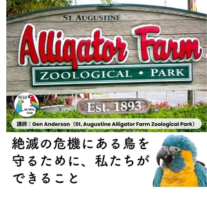 「Session 04：絶滅の危機にある鳥を守るために私たちができること」の画像