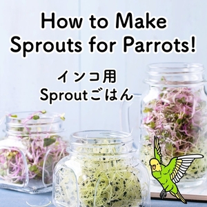 「【詳細ver】Sproutごはんの作り方」の画像