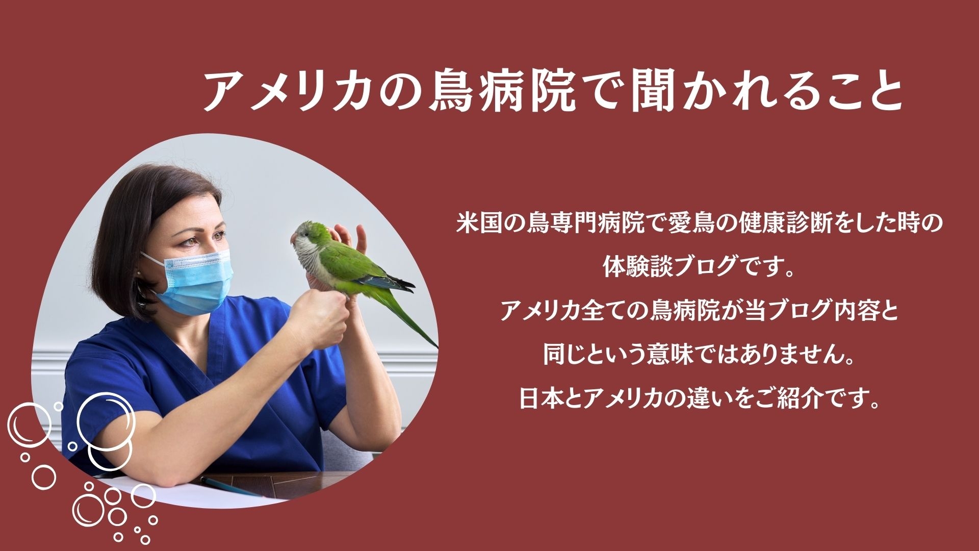 「アメリカの鳥病院について」の画像