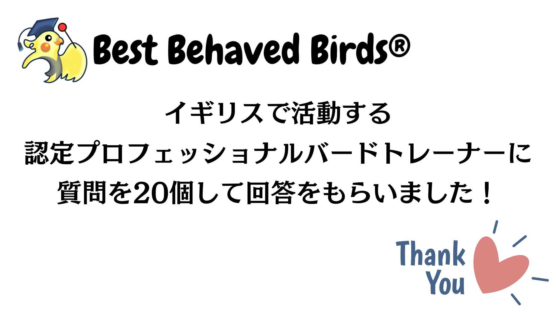 「飼育のQ&A!20個の質問に回答」の画像