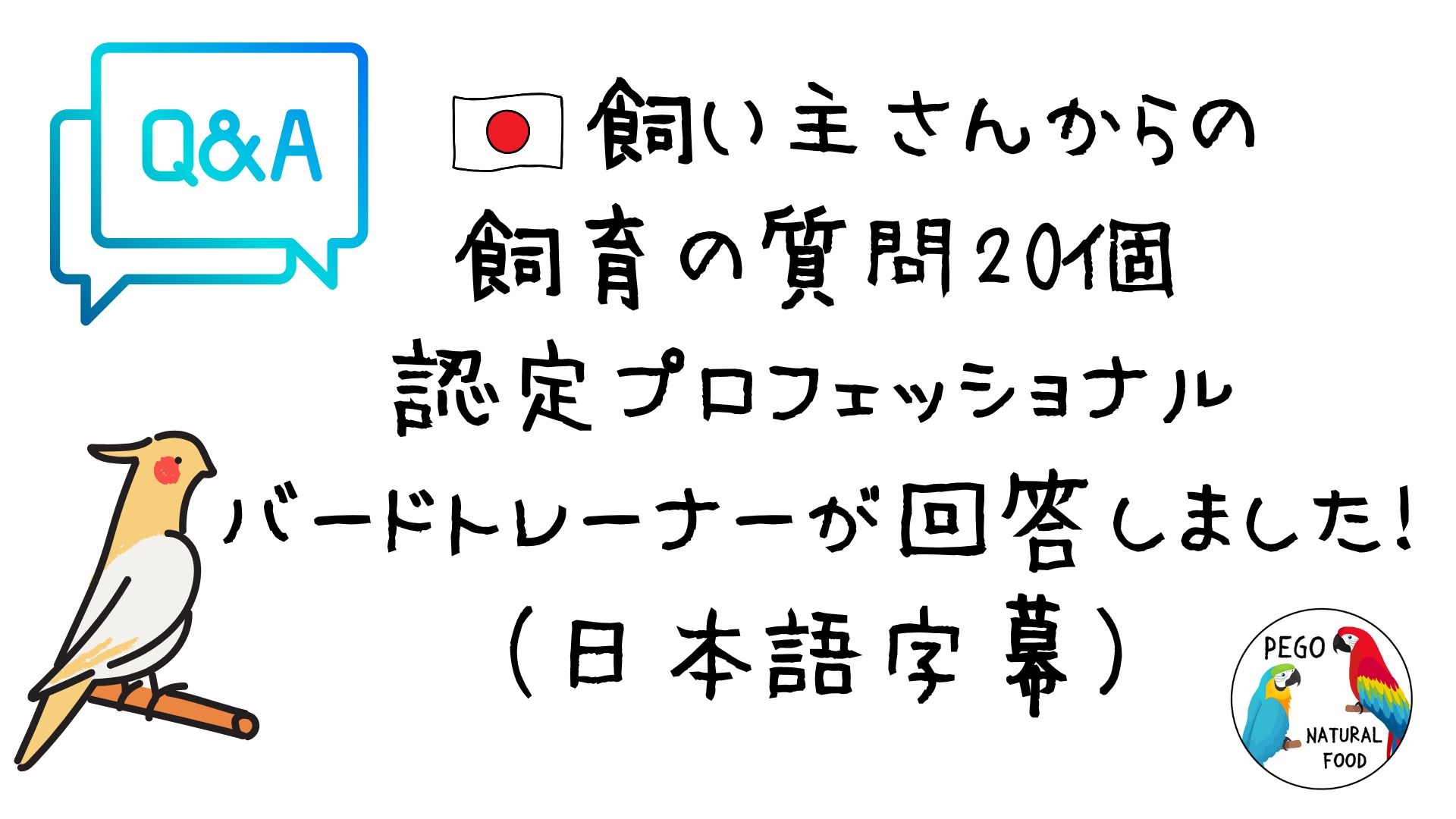 「Q&Aを3つご紹介」の画像